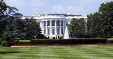 martin sheen the white house